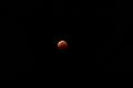 D_20150928-052228 IMG_0547